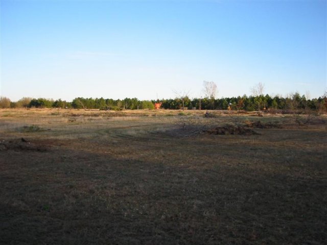 turningadisusedtreefarmintoacricketfield.jpg